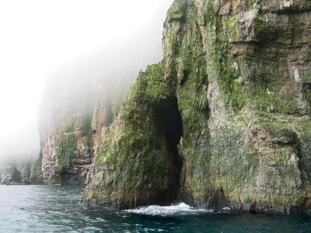Bjørnøya, Svalbard (Остров Медвежий, Шпицберген)